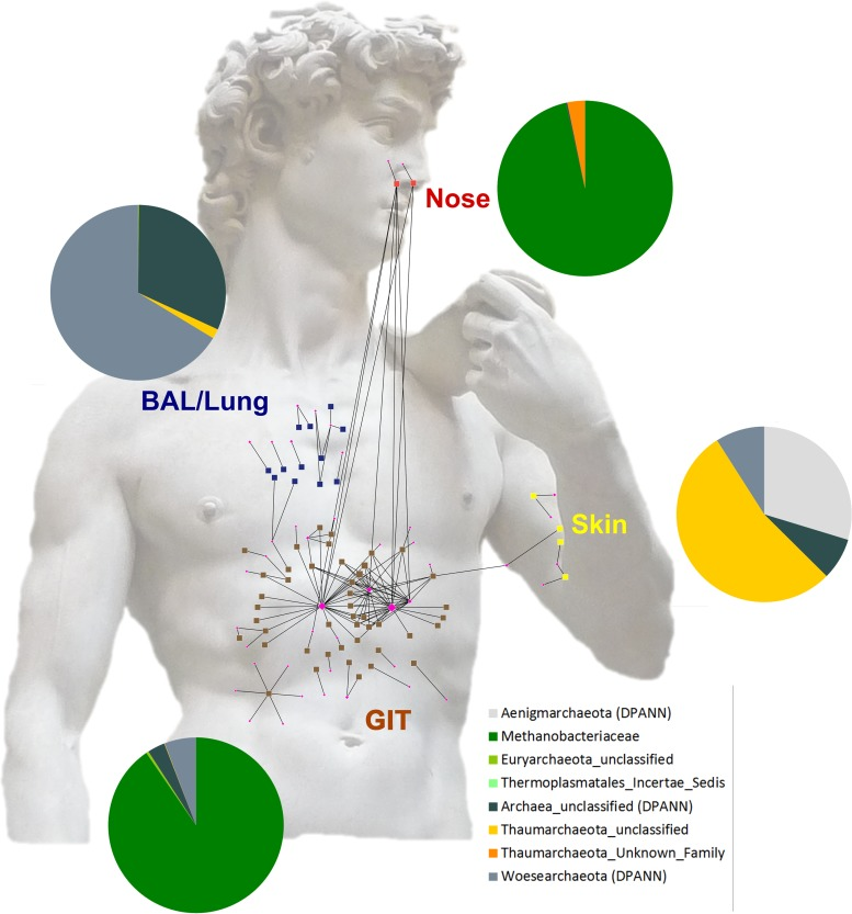 David de Michelangelo sendo usado para ilustrar as amostras de nariz, pele, pulmão e trato gastrointestinal - produzir músicas a partir de microrganismos