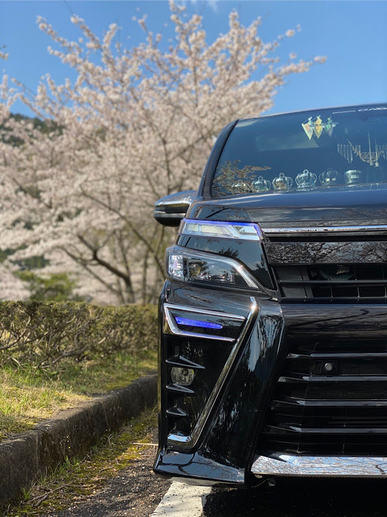 ヴォクシーの桜と愛車・桜・プチオフに関するカスタム事例の投稿画像3枚目
