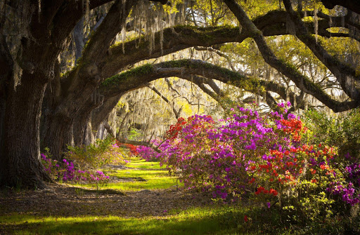 Charleston City Wallpapers HD