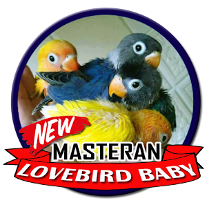 Download Masteran Lovebird Baby For PC Windows and Mac