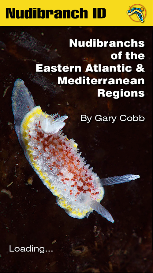 Android application Nudibranch ID EAtlantic Med screenshort