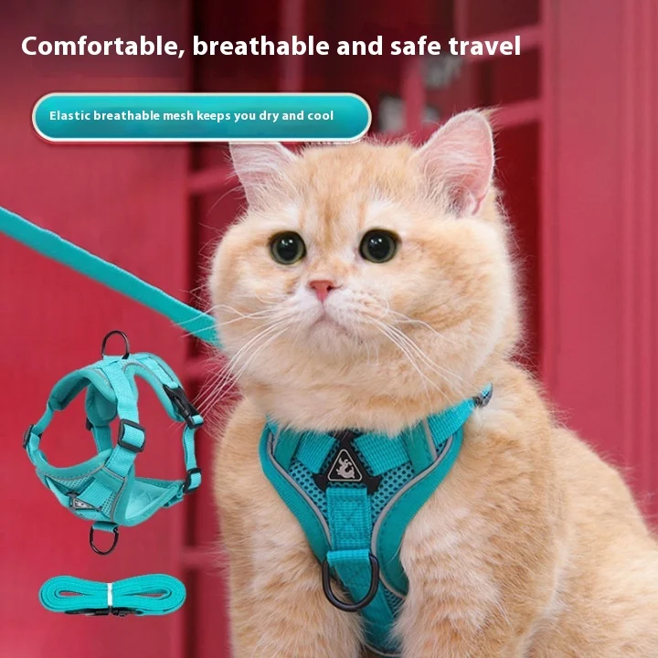 Honden vest met touw, borsttuig, ademende mesh, anti-verlies halsband voor katten, veilig en comfortabel wandelen.