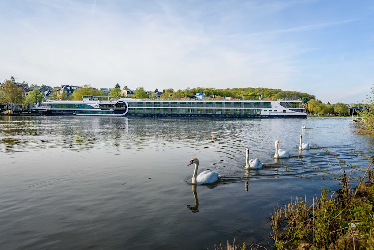 The 128-passenger Avalon Artistry II cruises the Danube, Rhine and Main rivers.  