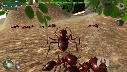 ant simulator roblox how to get fruits