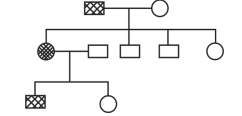 Pedigree Analysis