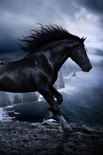 Horses Live Wallpaper