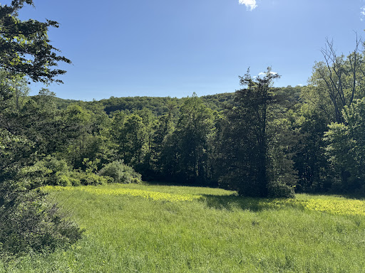 Terrain 1