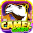 Camel Cash Casino - 777 Slots icon