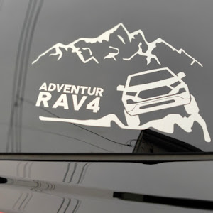 RAV4 MXAA54