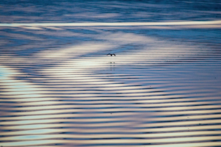 Olifant river di century