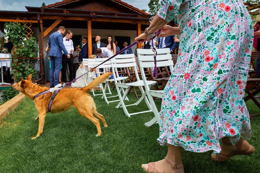 Fotógrafo de casamento Ciprian Grigorescu (cipriangrigores). Foto de 7 de maio