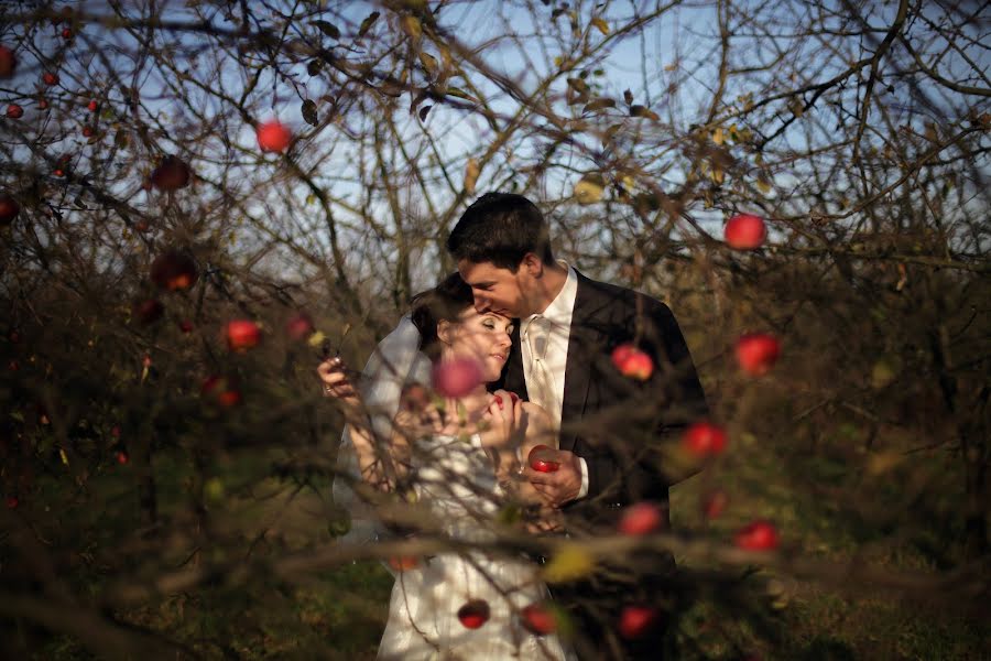 Fotógrafo de casamento Tomasz Pączek (pczek). Foto de 21 de fevereiro 2015