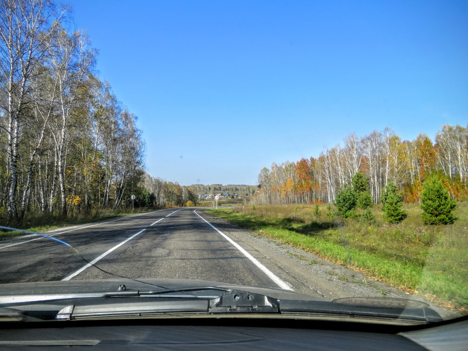 Погода новороманово калманского алтайского края