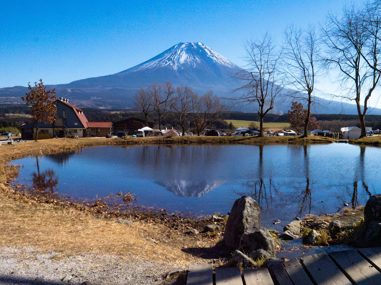 の投稿画像4枚目