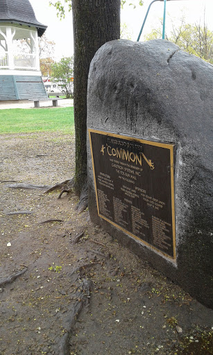 Playground For The Common Dedication