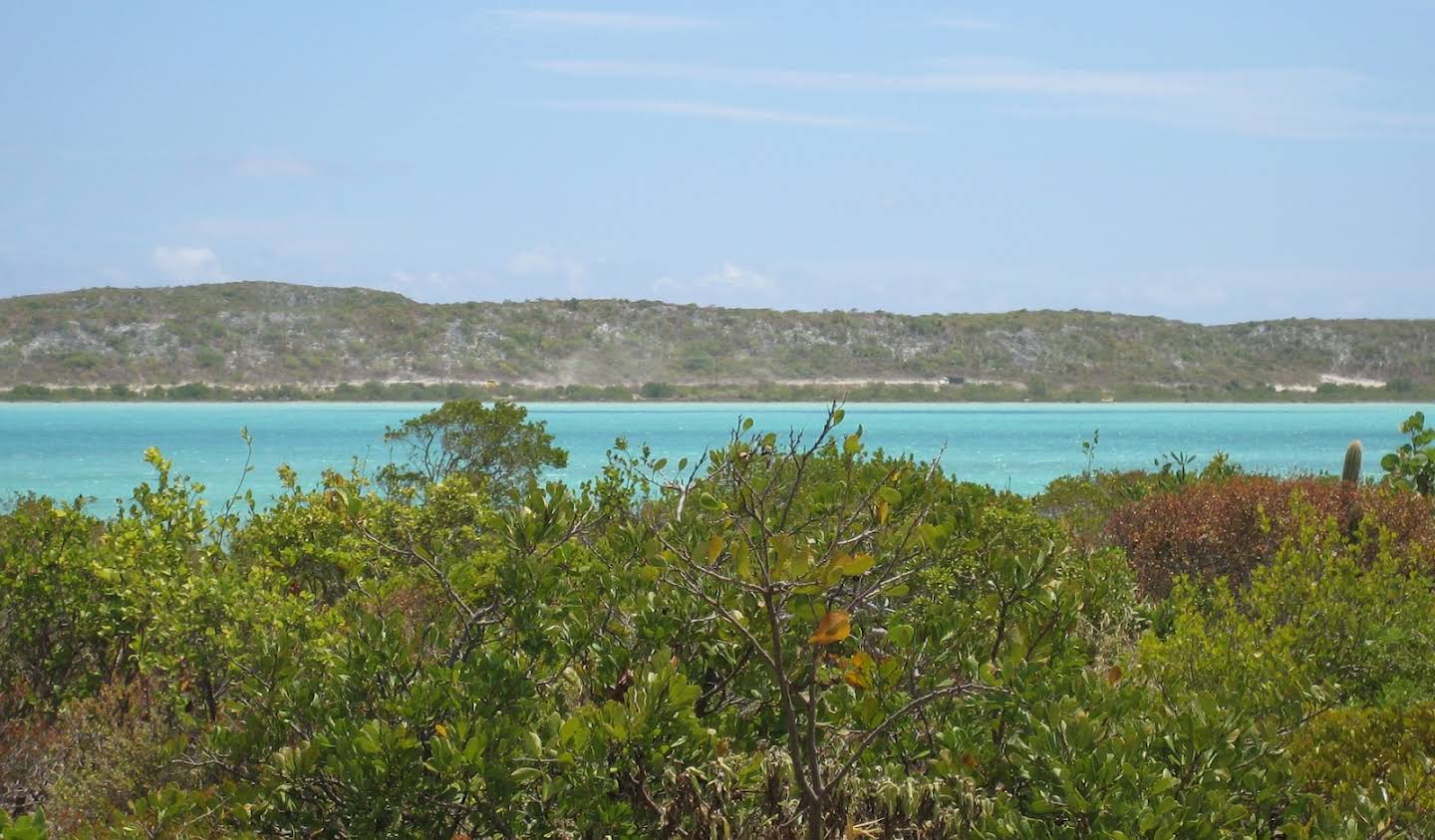 Terrain South Caicos and East Caicos