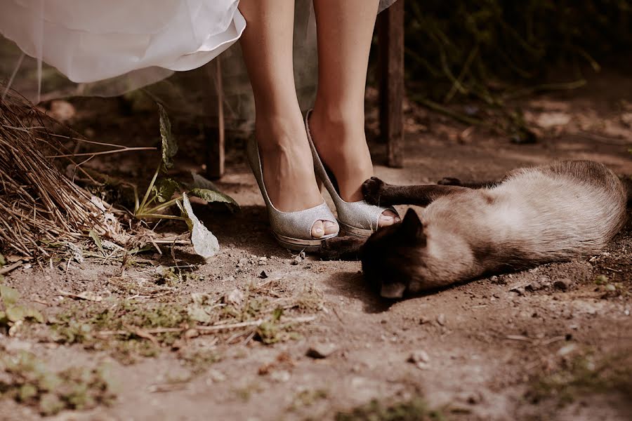 Fotógrafo de casamento Nuno Lima (nunolima). Foto de 16 de janeiro 2020