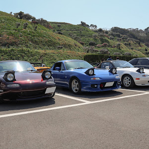 ロードスター NA6CE