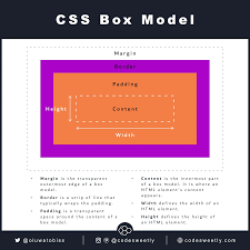 Hiểu về Border Box và Box Model