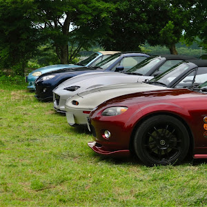 ロードスター NA8C