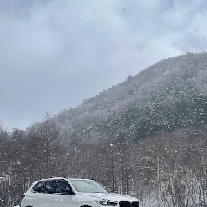 X5 xDrive 35d