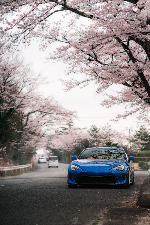 BRZの桜とコラボ🌸・86BRZ・桜とコラボに関するカスタム事例の投稿画像2枚目