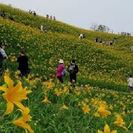 茉莉花壇夢想館