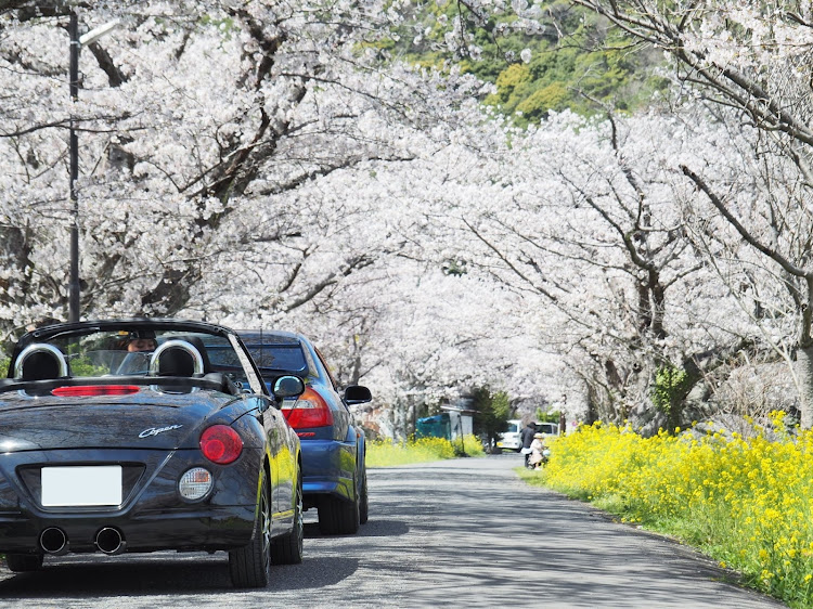 の投稿画像1枚目