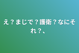 え？まじで？護衛？なにそれ？、