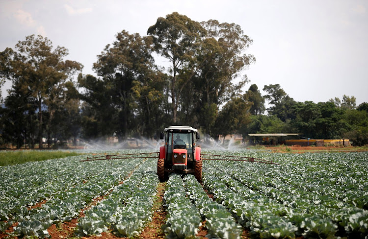 Picture: REUTERS/SIPHIWE SIBEKO