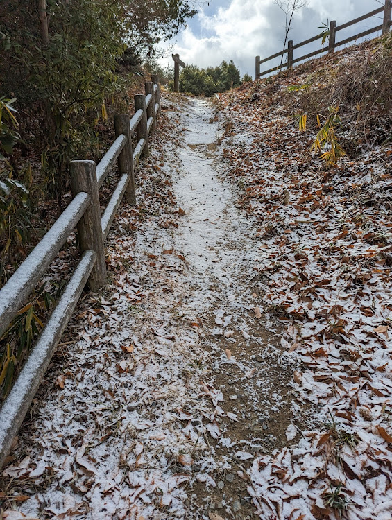 の投稿画像2枚目