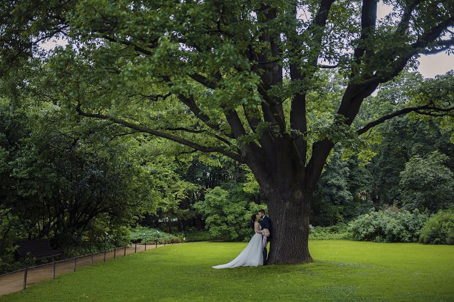 結婚式の写真家Tatyana Pushkareva (tpushkareva)。2017 8月13日の写真