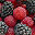 Blackberry Top HD Fruits New Tabs Themes