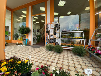 locaux professionnels à Bourbonne-les-Bains (52)