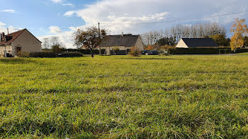 terrain à Manthelan (37)