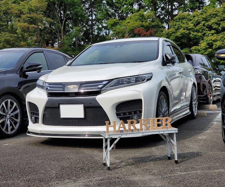 ハリアーの#ELFORD・オフ会・嵐山高雄パークウェイに関するカスタム事例の投稿画像1枚目