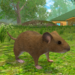 Cover Image of डाउनलोड माउस सिम्युलेटर: चूहा कृंतक पशु जीवन 1.22 APK