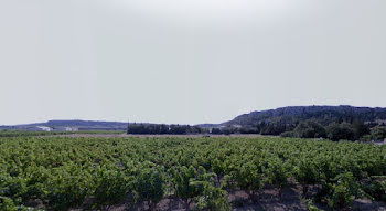 terrain à Roquefort-des-Corbières (11)