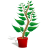 Beautiful Houseplants1.0.7