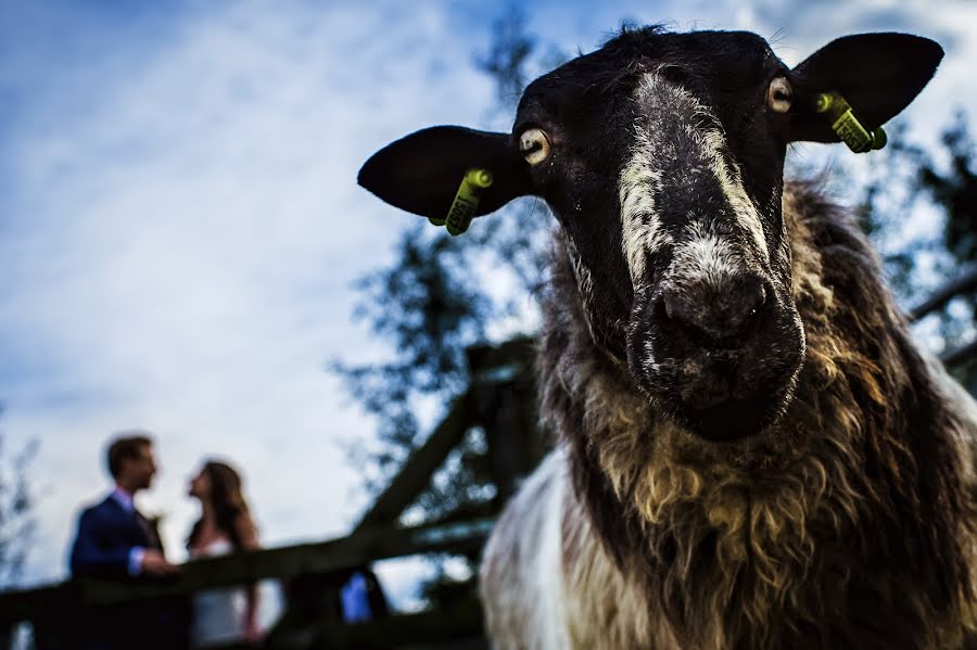 Svatební fotograf Damon Pijlman (studiodamon). Fotografie z 15.listopadu 2016