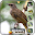 Merbah Belukar Top Download on Windows