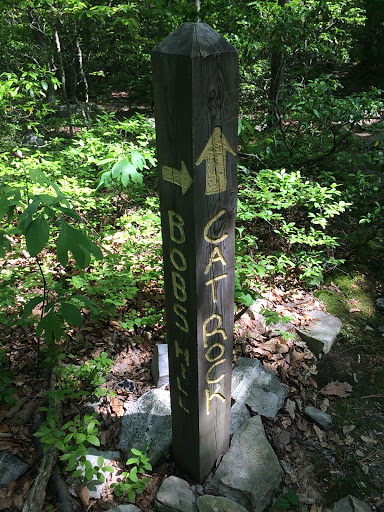 Cat Rock Trail