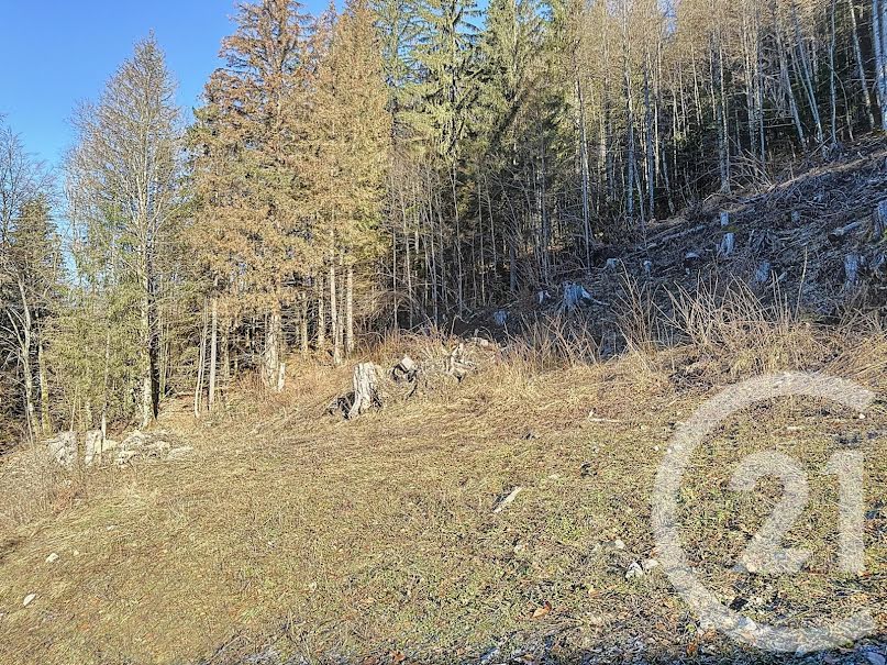 Vente terrain à batir  1142 m² à Morzine (74110), 795 000 €