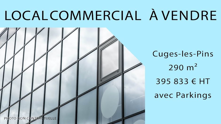 Vente locaux professionnels  290 m² à Cuges-les-Pins (13780), 395 833 €