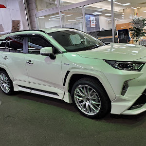 RAV4 AXAH54