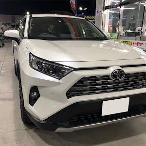 RAV4 MXAA54