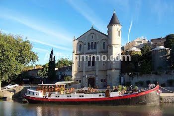 péniche à Capestang (34)