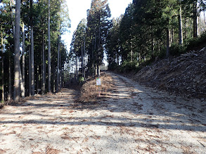 北尾根分岐（右に）