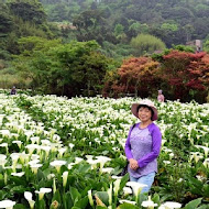 【竹子湖】苗榜花園餐廳