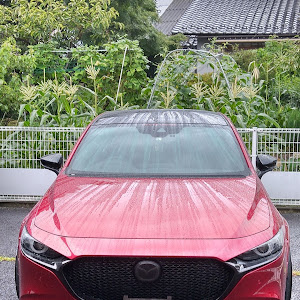 MAZDA3 BP8P